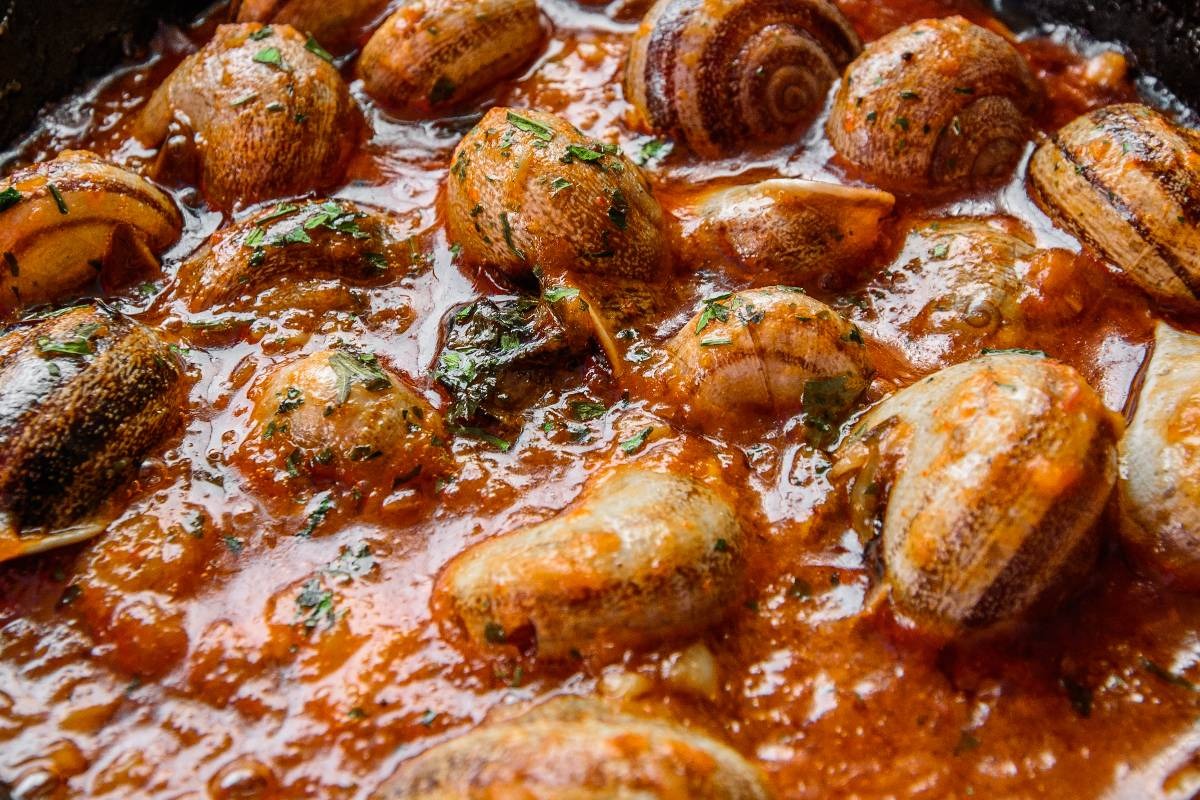 Pentola con lumache cotte nel sugo di pomodoro