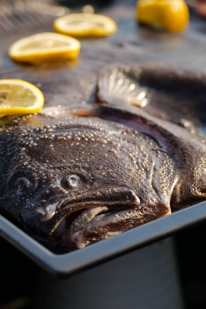 Pesce rombo appena pescato con fettine di limone