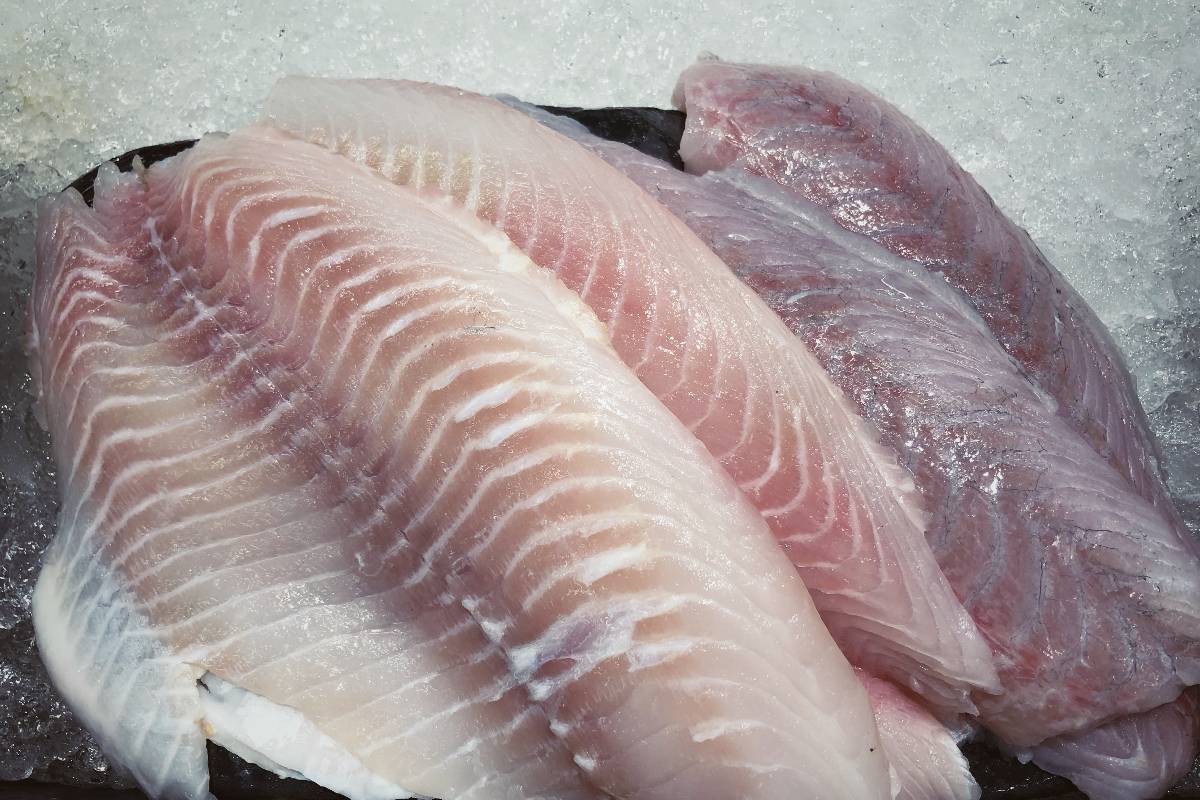 Filetti di pesce fresco