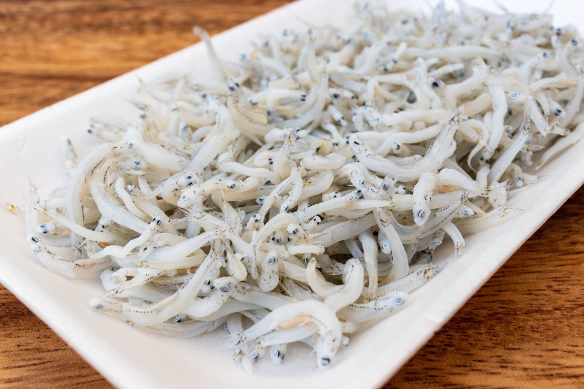 Piatto con bianchetti freschi appena pescati