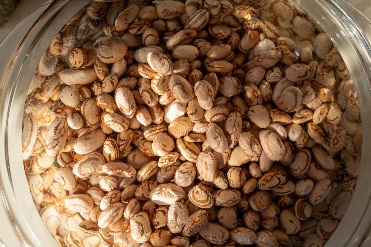 Vista dall'alto fagioli borlotti ammollati in acqua