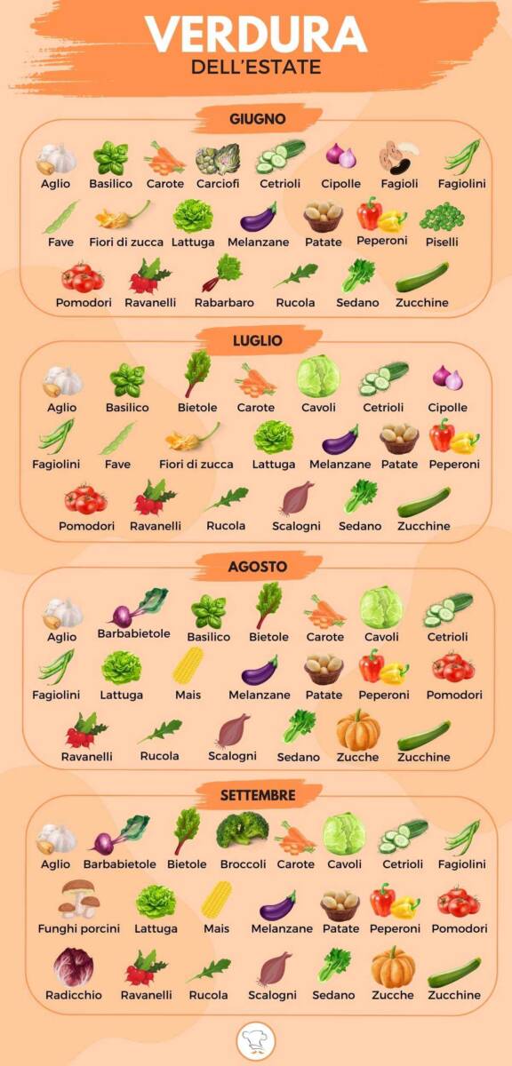 Infografica sulla verdura dell'estate