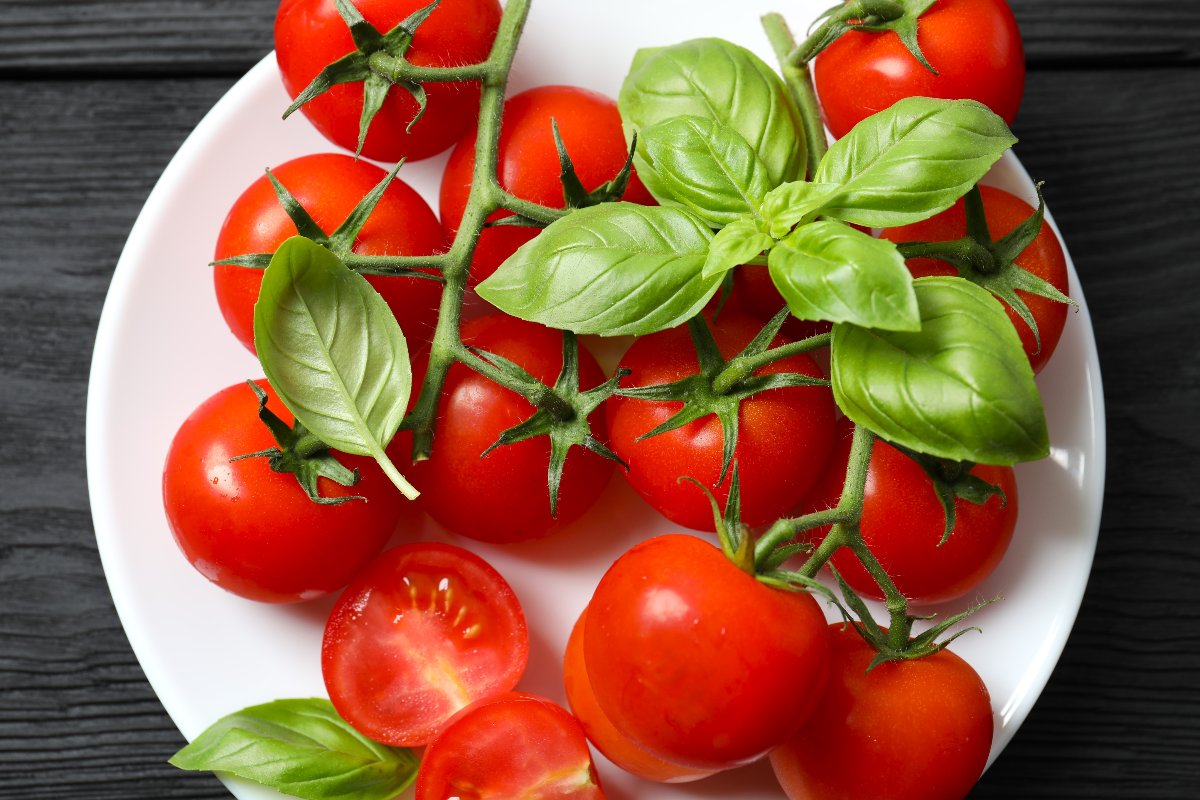Pomodori e basilico in un piatto