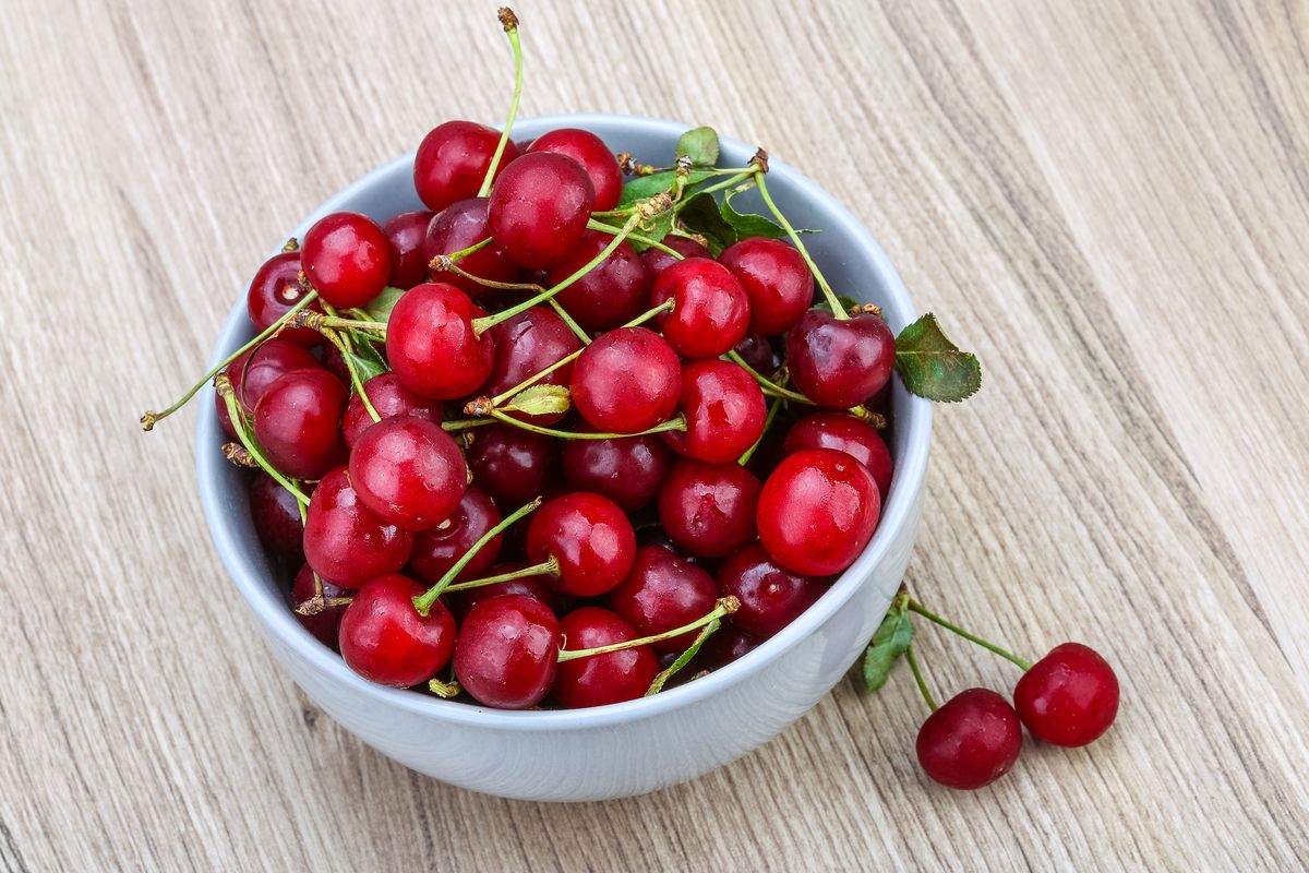 Ciotola con frutta visciole appena raccolte