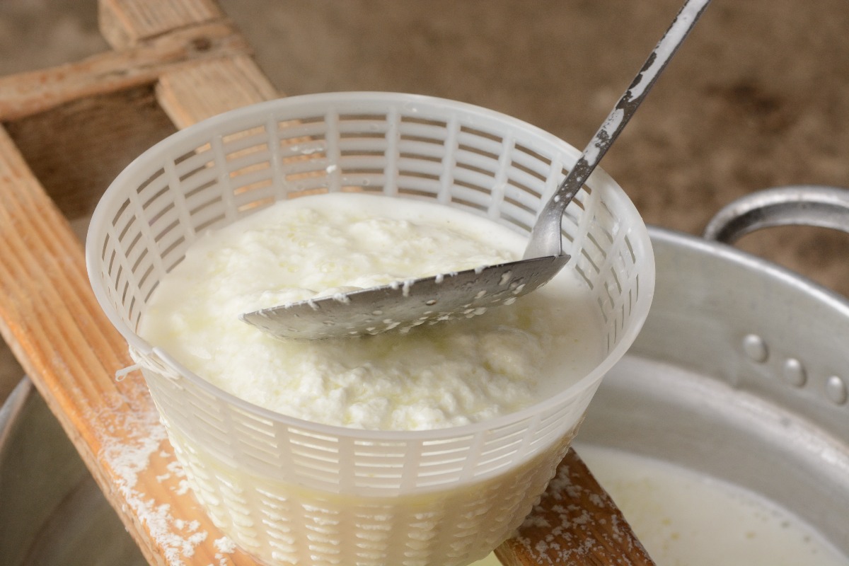 Cagliata della ricotta trasferita in fuscella di plastica con mestolo forato