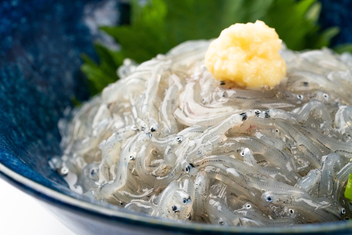 Piatto con bianchetti, piccoli pesci azzurri