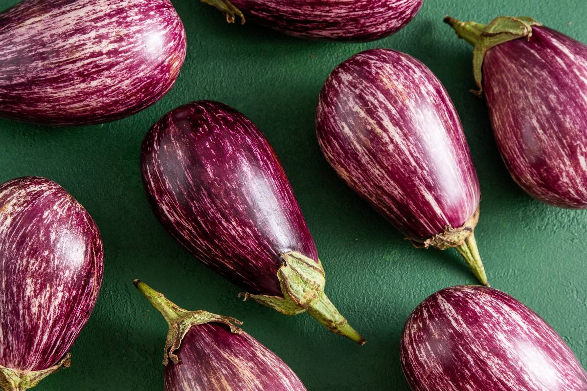 Melanzane fresche