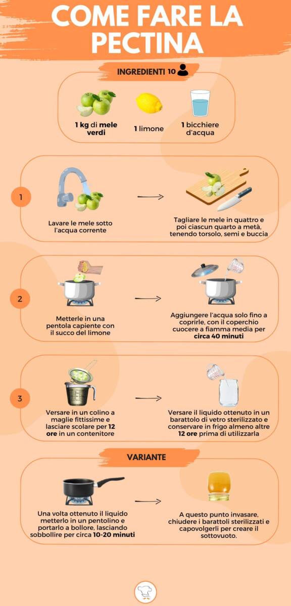 Infografica della pectina fatta in casa