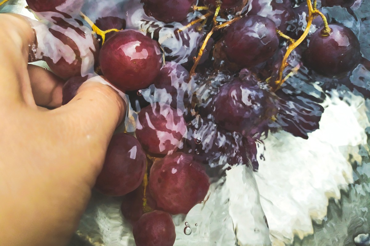 Mano che lava grappolo di uva in acqua