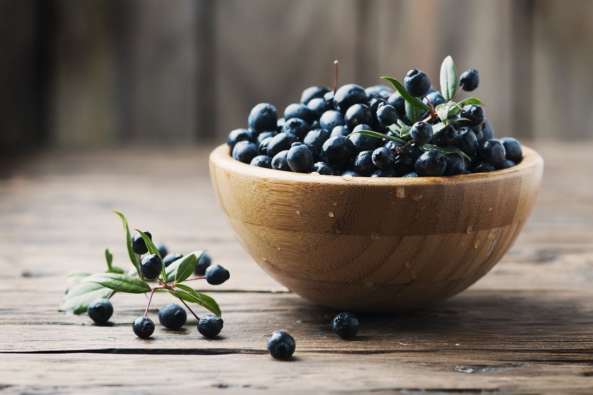 Ciotola di legno con bacche di mirto fresche
