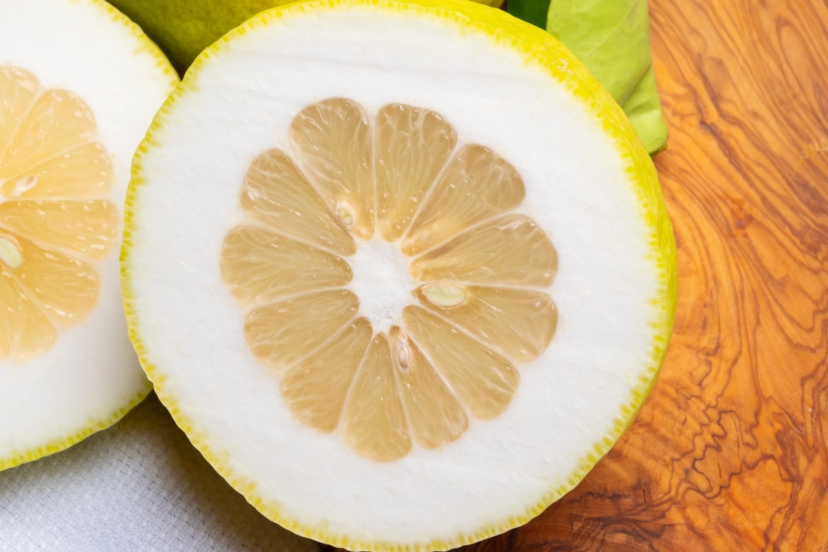 Primo piano cedro tagliato a metà