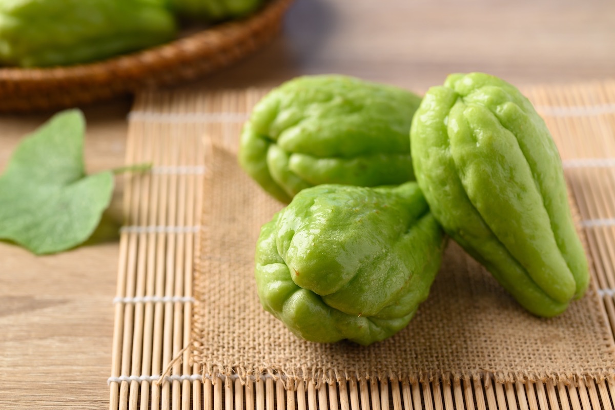 Chayote zucchina spinosa