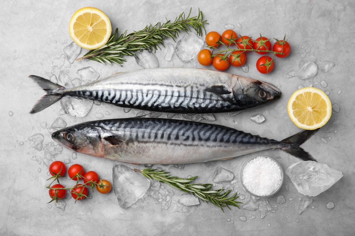 Sgombri freschi con pomodori, limone e rosmarimo
