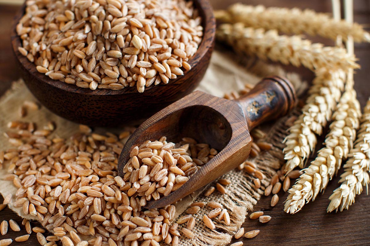 Ciotola in legno con chicchi e spighe di farro