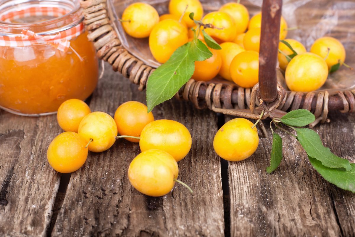 Marmellata di prughe gialle varietà gocce d'oro e cesto di frutti