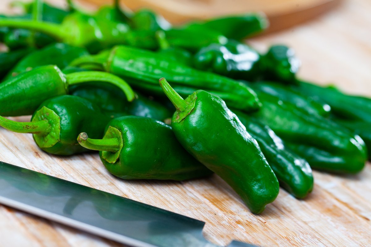 Peperoni del padrón detti anche pimientos de Padrón