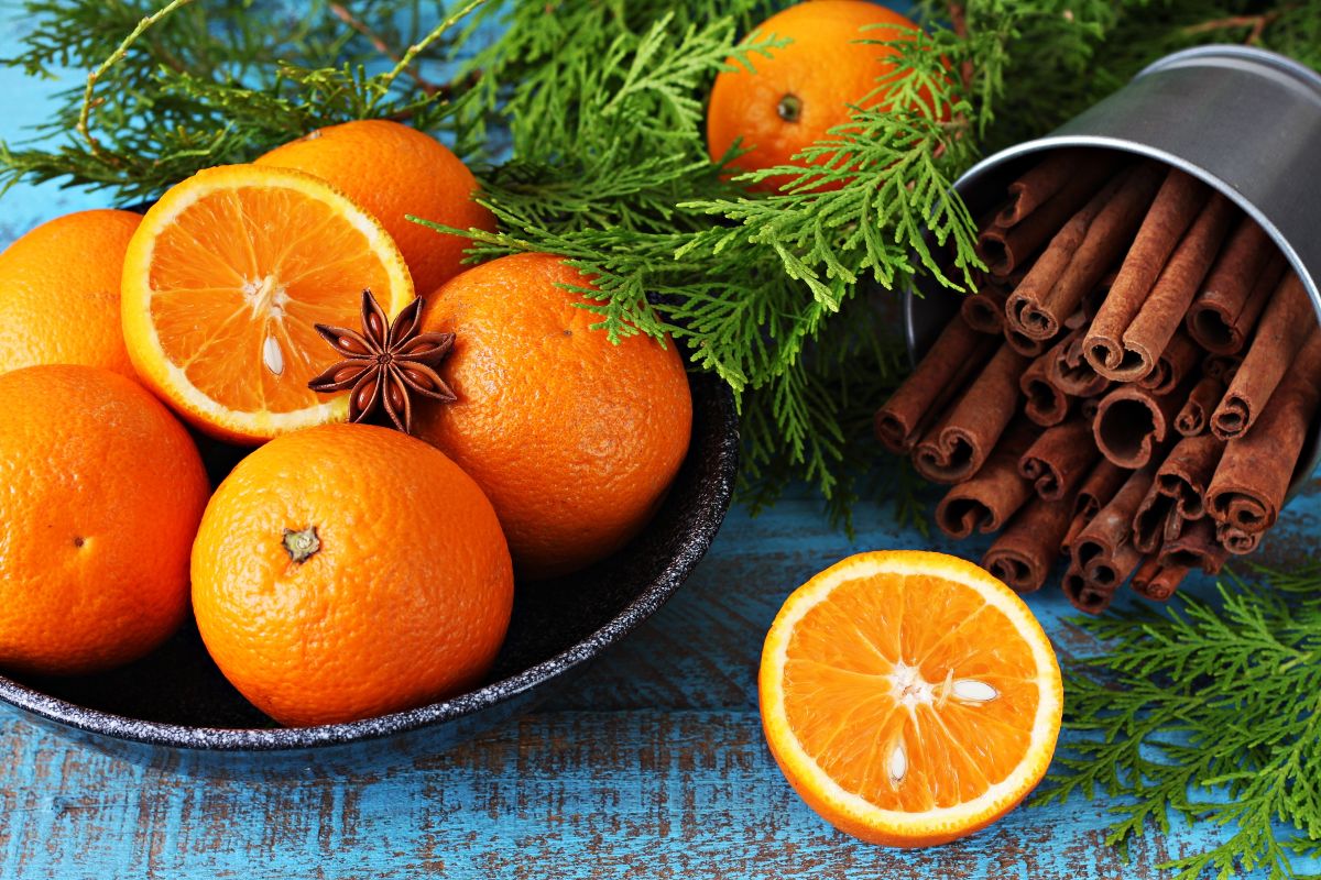 Arance, cannella e anice stellato vicino a rami di pino