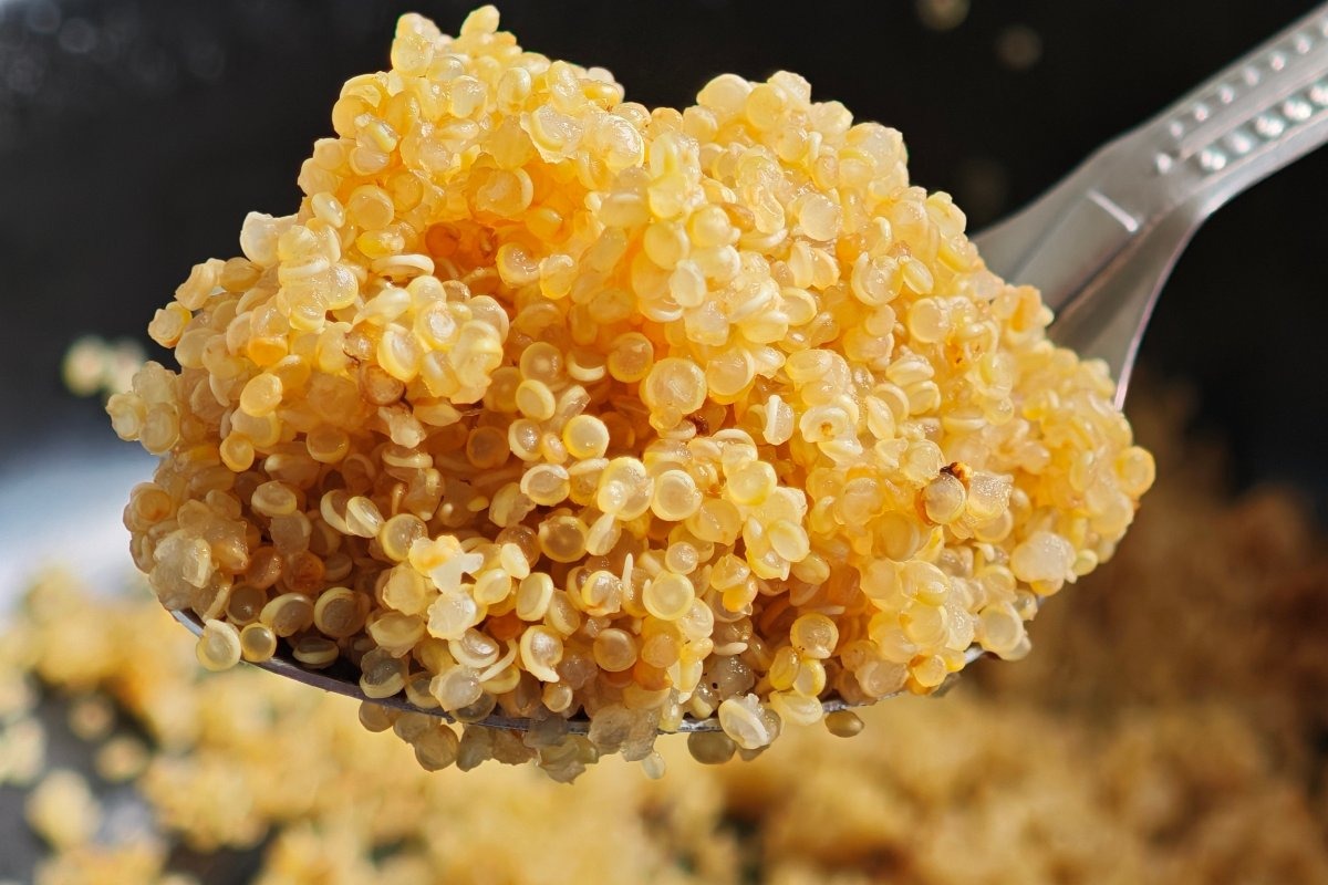 Cucchiaio che mostra quinoa cotta