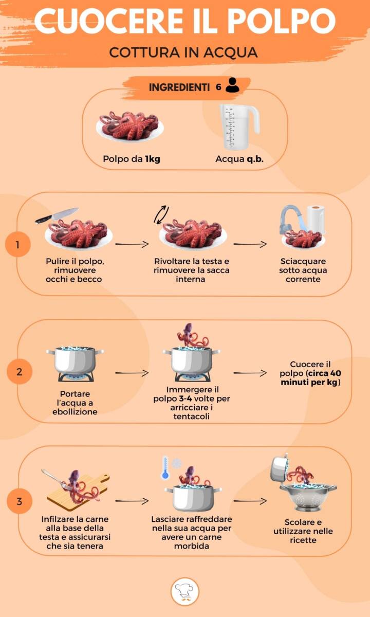 Infografica su come cuocere il polpo
