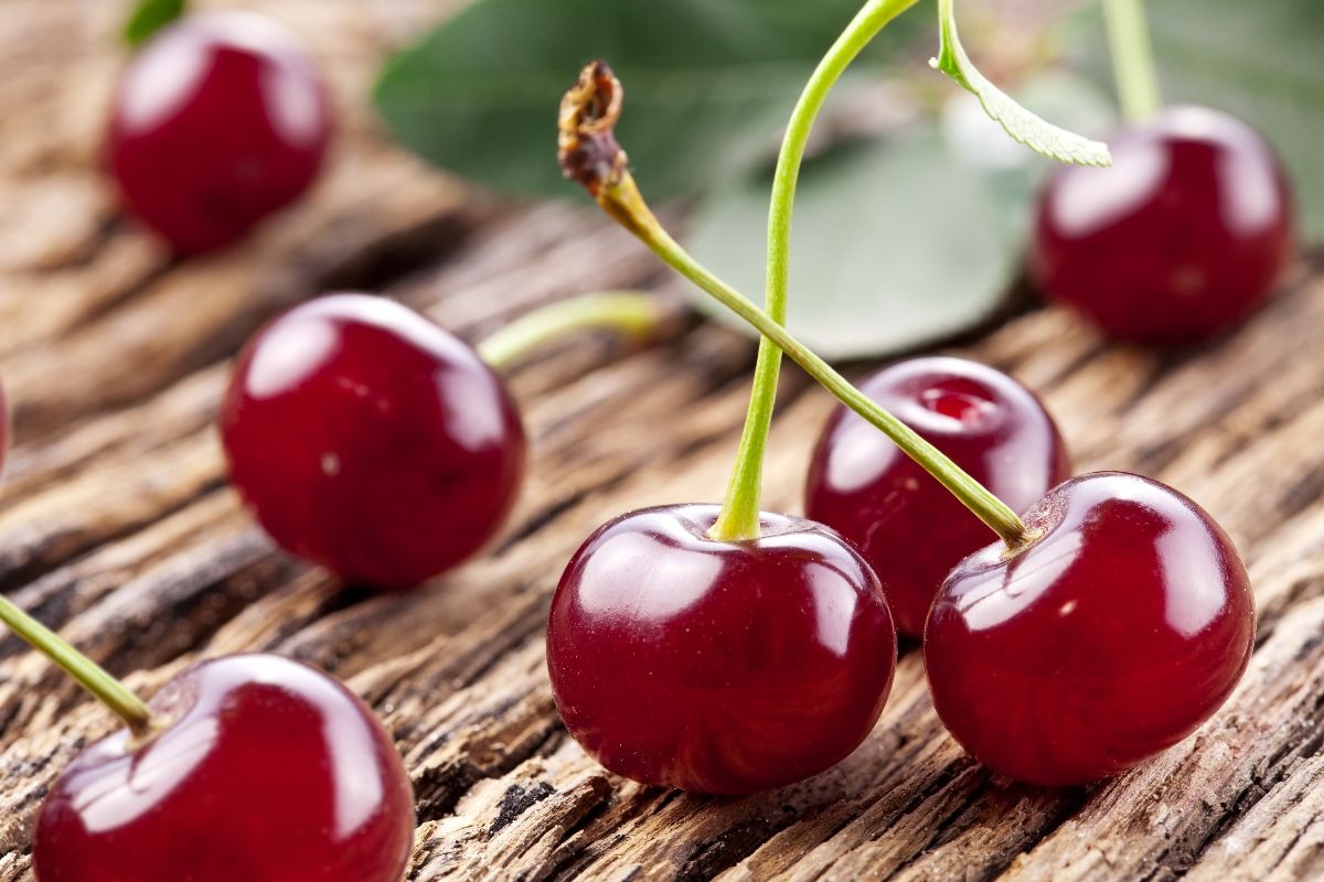 Amarene fresche appena raccolte su tavolo di legno