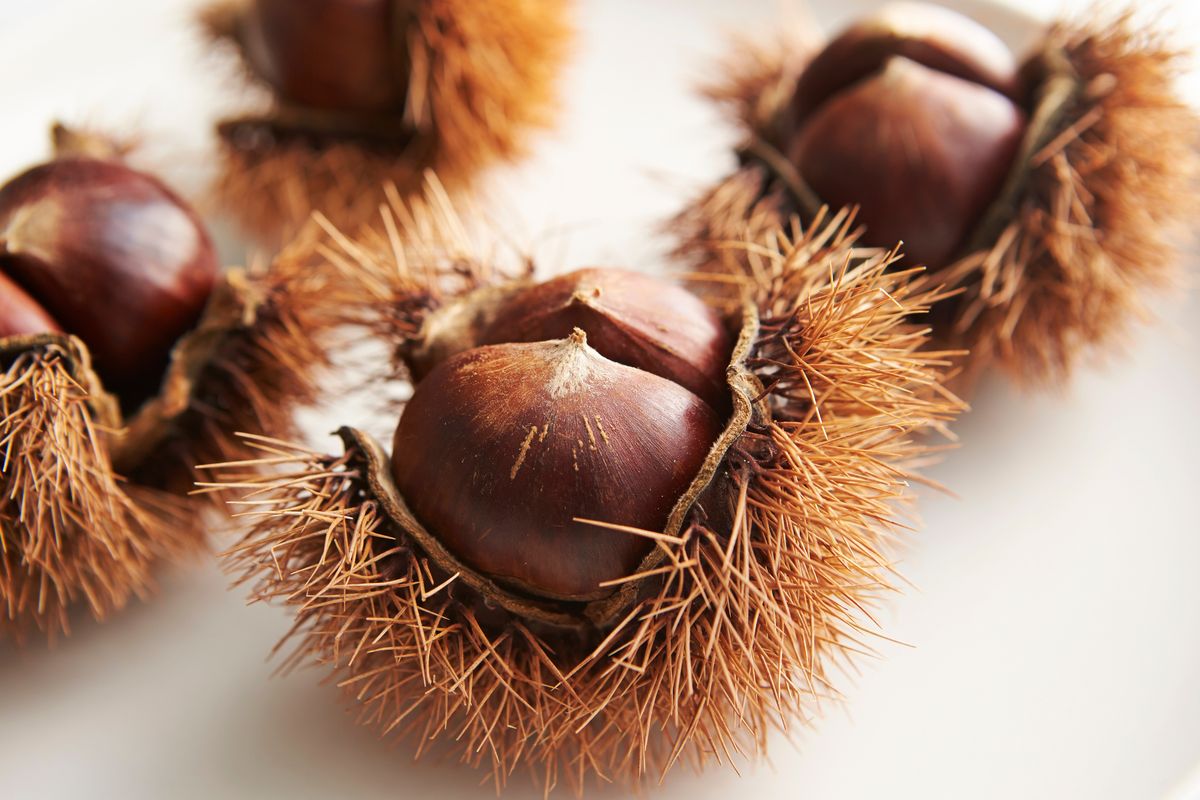 Castagne matte