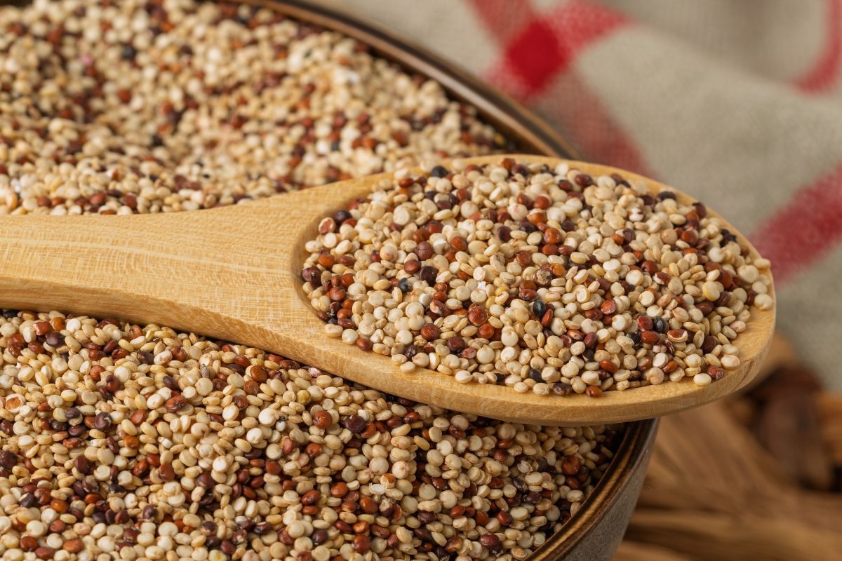 Cucchiaio di legno con chicchi di quinoa bianca, rossa e nera