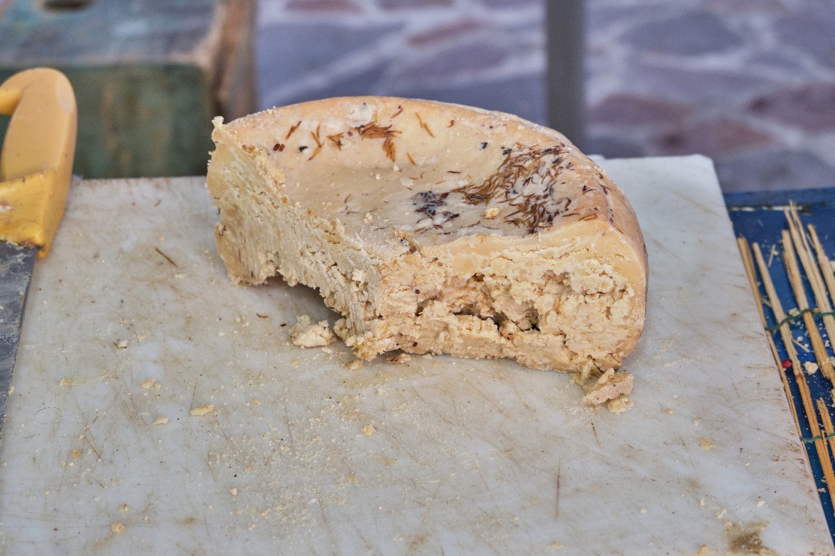 Casu Marzu un formaggio tipico della Sardegna con le larve servito su un tagliere con un coltello