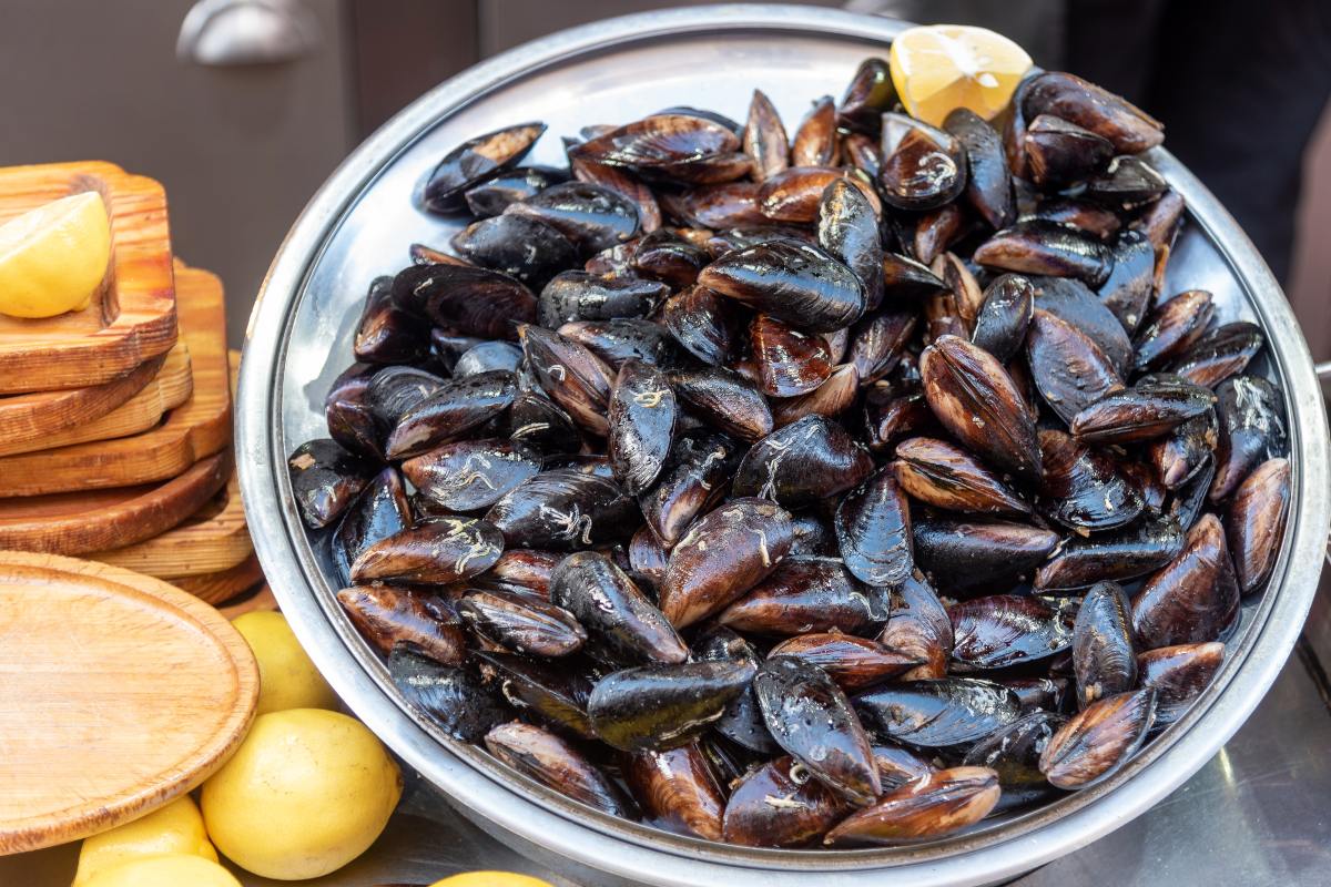 Piatto con cozze fresche