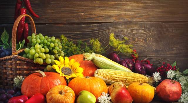 Il carrello della spesa a novembre: non deve mancare frutta e verdura di stagione