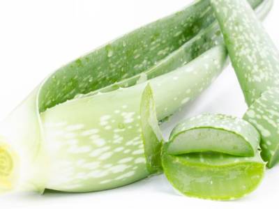 Succo di aloe da scoprire: straordinari benefici naturali