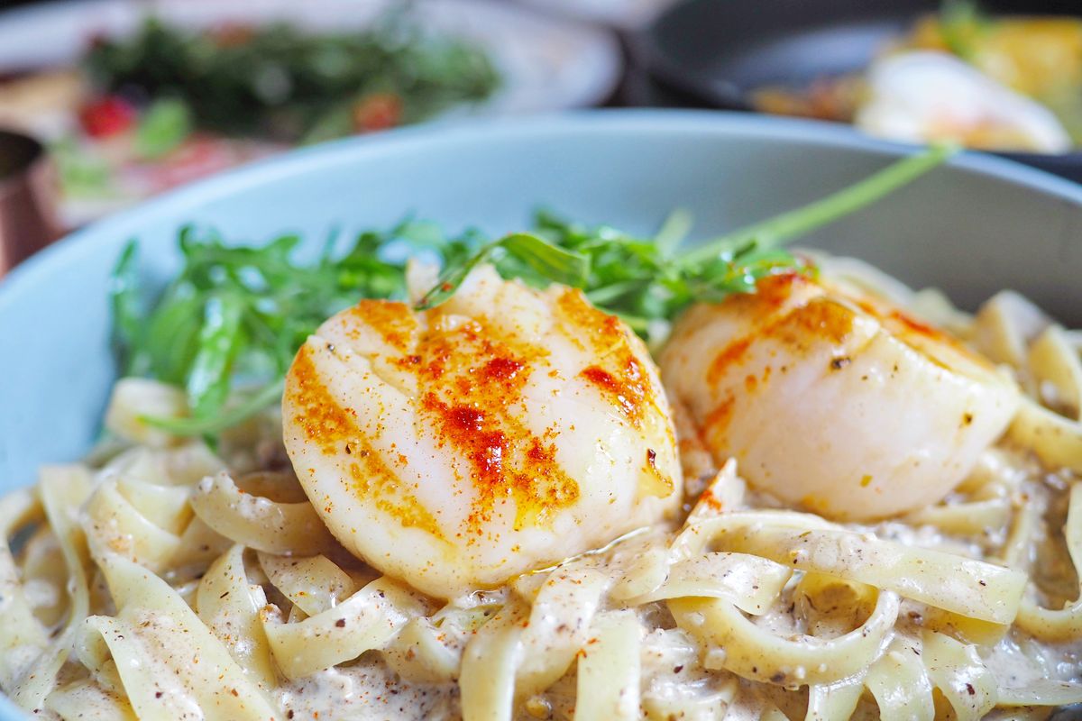 Pasta with artichoke cream and scallops