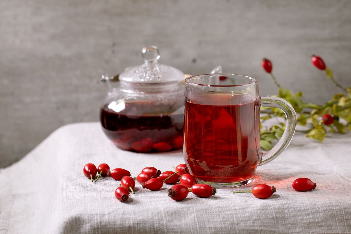 Tisana alla rosa canina