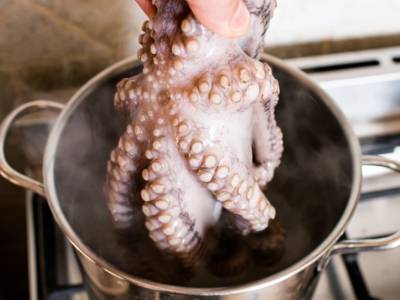 Cucinare il polpo in padella