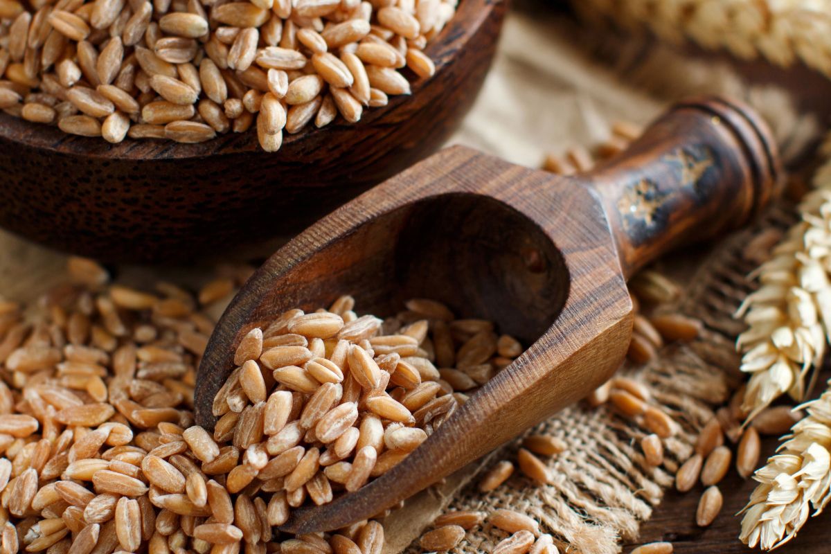 Paletta in legno con chicchi di farro