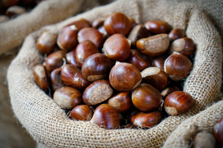 PZ 2 CONFEZIONI DA 200 GR DI CASTAGNE SGUSCIATE MORBIDE MOSCIARELLE DA - Foto 13