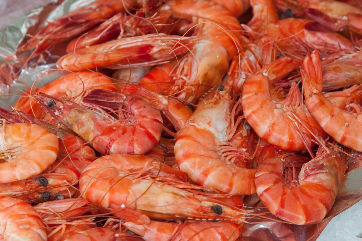 Fresh prawns