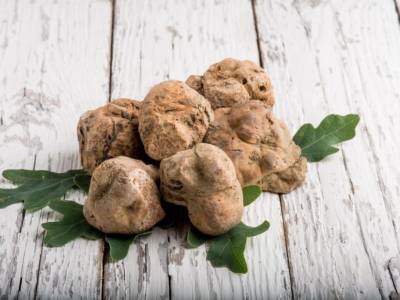 Tartufo delle Crete senesi: ricette e caratteristiche di questo pregiato ingrediente