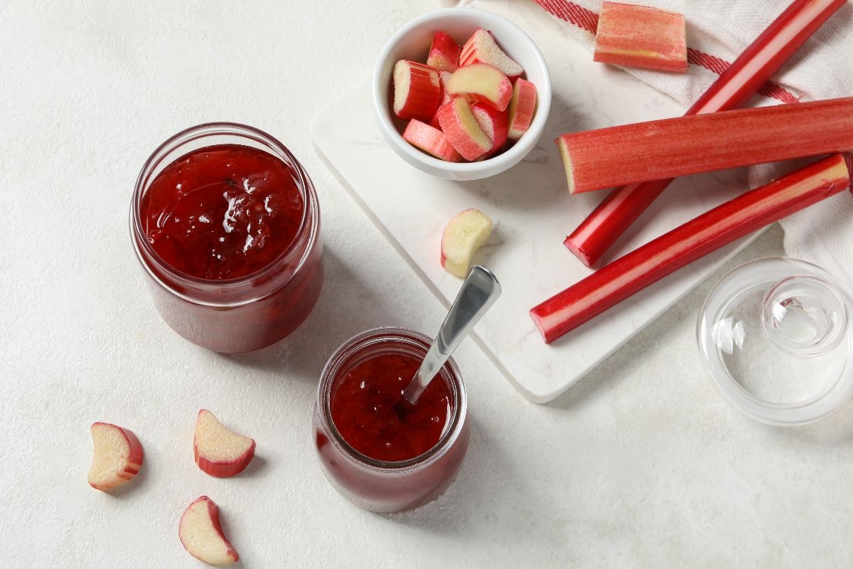 Vasetti con marmellata di rabarbaro e coste di rabarbaro fresche