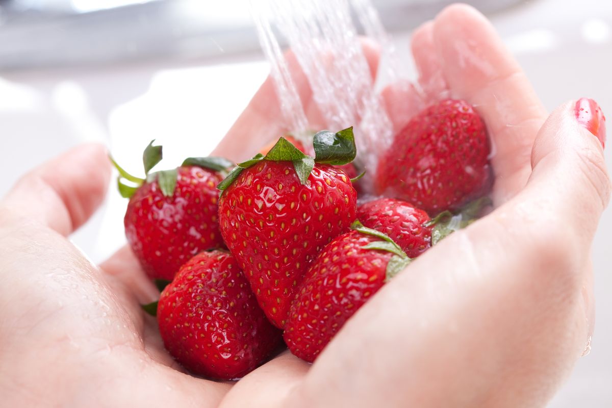 Strawberries washed under running water in the hands of a woman