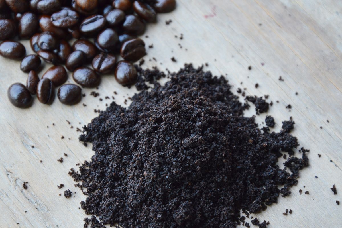fondi di caffè