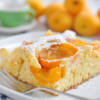 Torta alle albicocche