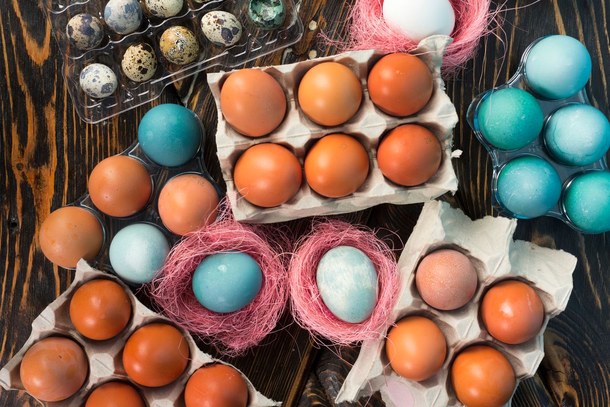 uova e uova colorate