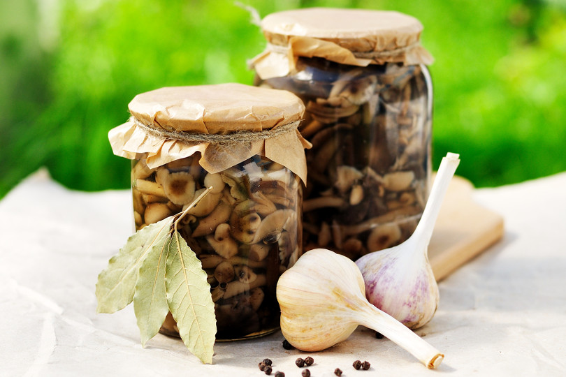 Funghi sott'olio