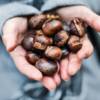 Castagne al forno: ricetta e consigli