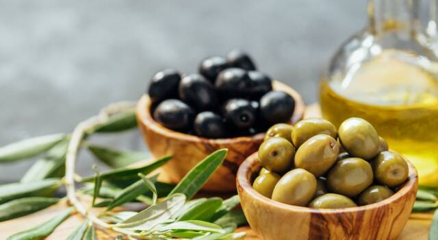 Come conservare le olive: i metodi più efficaci
