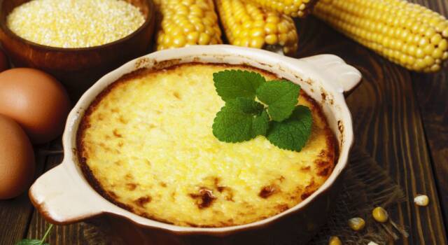 Buonissimo sformato di polenta e formaggio: un piatto unico facilissimo da preparare!