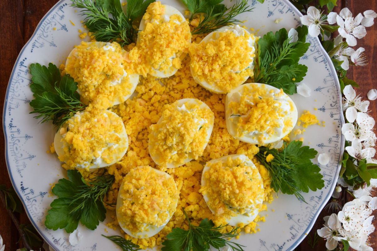 mimosa eggs