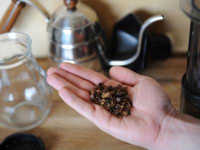 Cascara