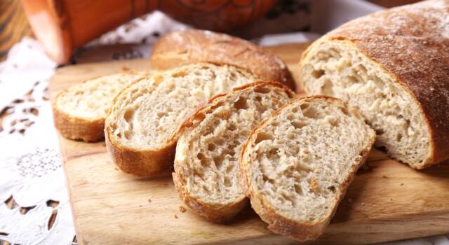 Croccante pane ciabatta senza glutine