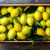 Limoni